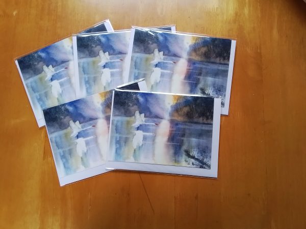 Pack of 5x A6 size Greeeting Cards - Inside left blank for own message. Each card is individually wrapped.