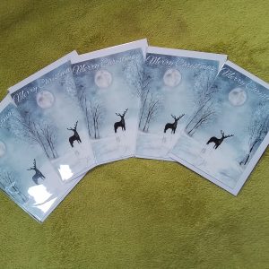 Pack of 5x A6 size Christmas Cards - Inside left blank for own message. Each card is individually wrapped.