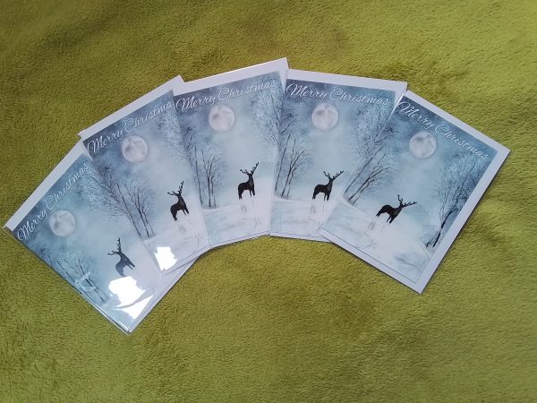 Pack of 5x A6 size Christmas Cards - Inside left blank for own message. Each card is individually wrapped.