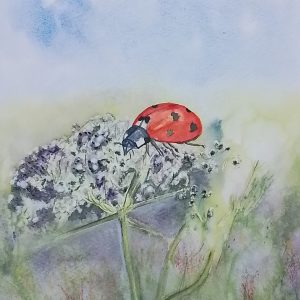 Original Signed Watercolour Painting 'Life of a Ladybird'. Unique Floral Artwork.