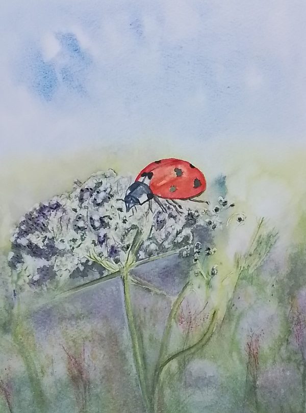 Original Signed Watercolour Painting 'Life of a Ladybird'. Unique Floral Artwork.