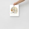 Shimmering Seashell. Print from my handpainted watercolour painting. - Image 3