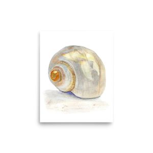 Shimmering Seashell. Print from my handpainted watercolour painting.