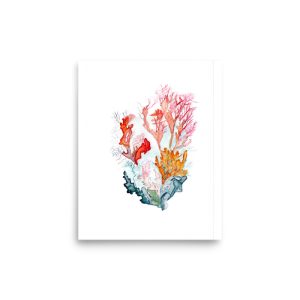 Colourful Coral print from my handpainted watercolour painting
