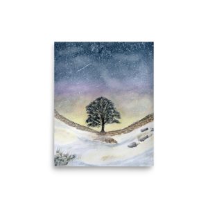 Snowy Sycamore Gap Tree