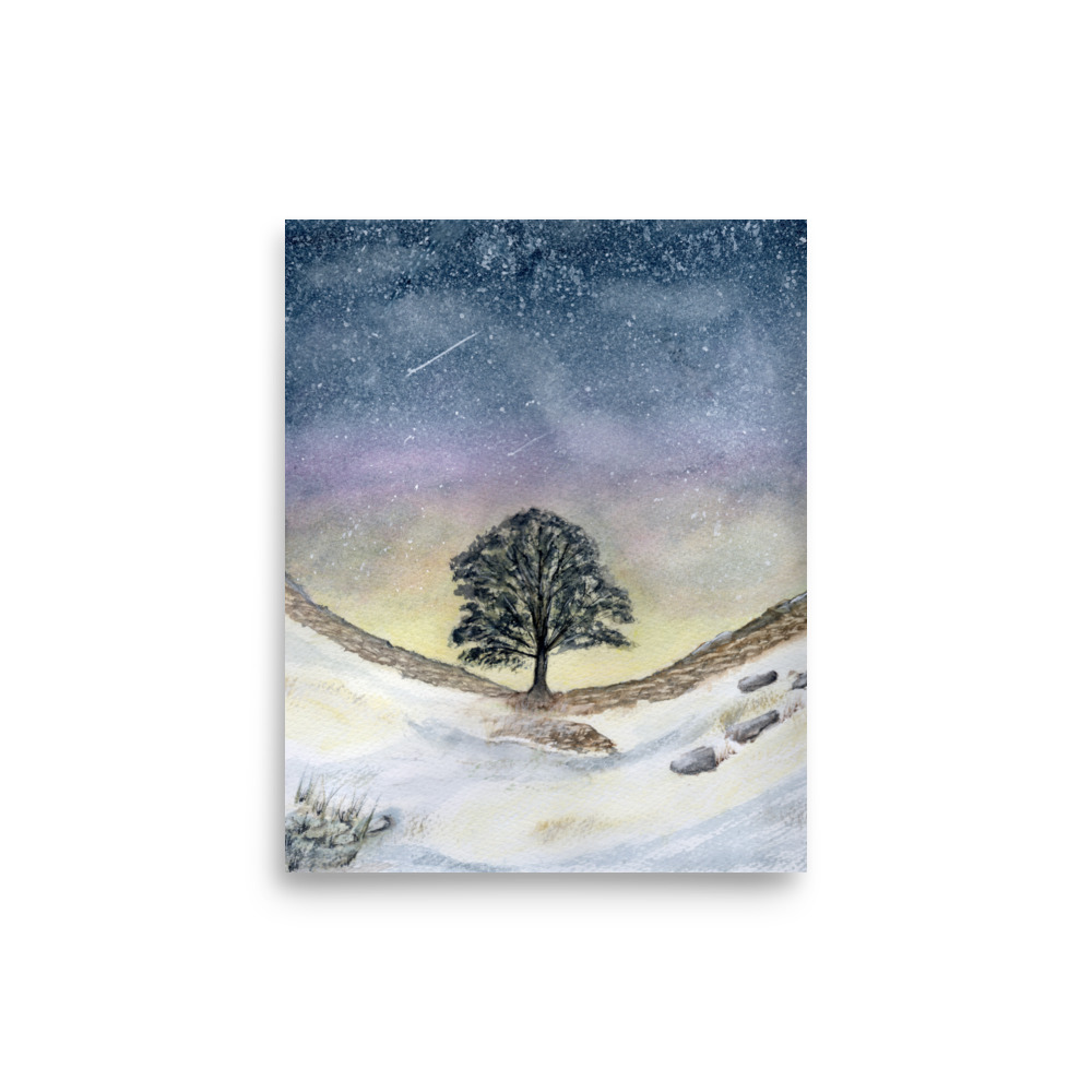 Snowy Sycamore Gap Tree
