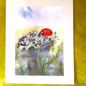 Fine Art Print. Life of a Ladybird. 8"x10" Mounted. Design taken from my own original watercolour painting