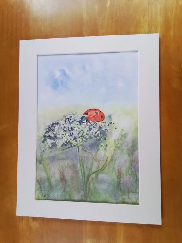 Life of a Ladybird