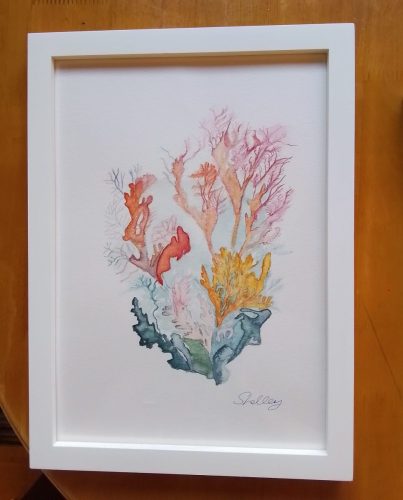 Colourful Coral