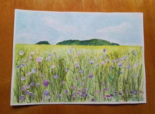 Summer Meadow