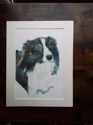 Ollie-the-Collie